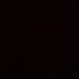 Meet your Posher, Shelly